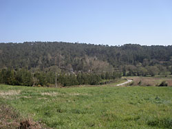 Vista de la parroquia de A Graa