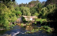 Cascadas de Sa�mia