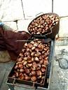 Castañas preparadas para ser asadas Castañas preparadas para ser asadas