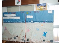 D�a del Mar 2008