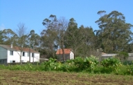 Pazos de Arriba