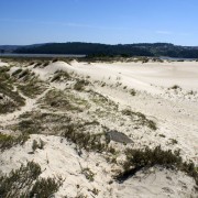 Dunas da Barra