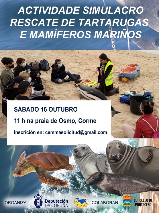 Actividade simulacro de rescate de tartarugas e mamferos marios