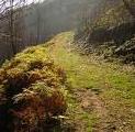 Camiño á romaría Camiño á romaría